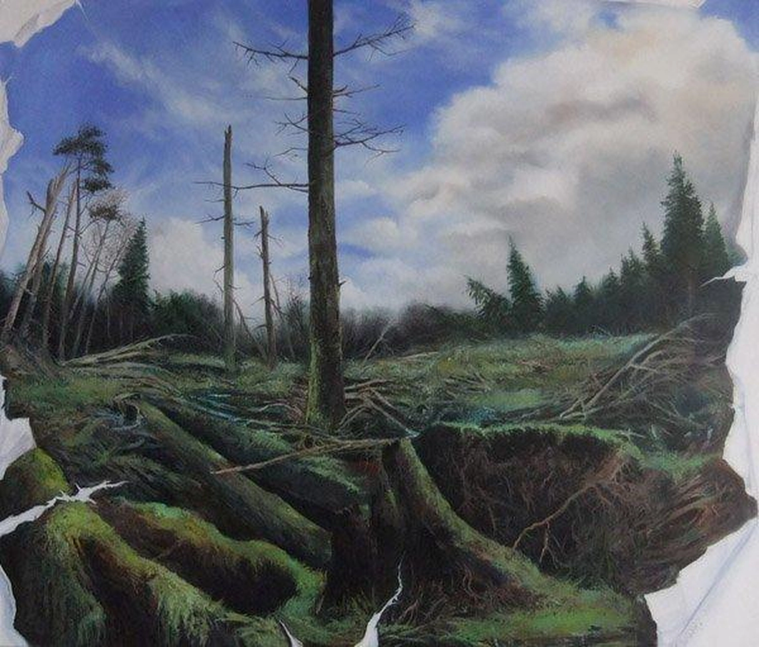 Künstler - Malerei - Öl & Acrylarbeiten