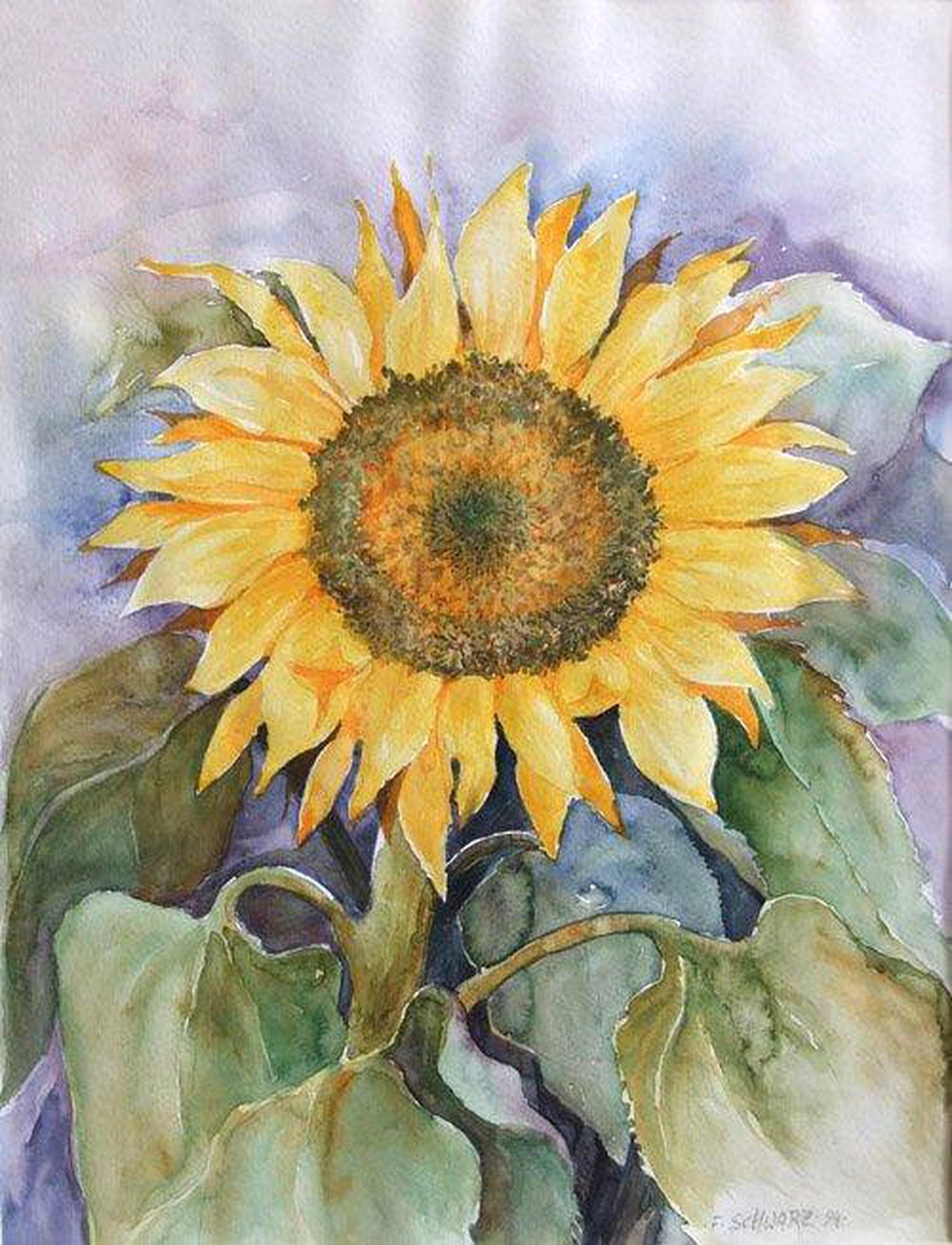 Künstler - Malerei - "Sonnenblume" . Aquarell . 52 x 68 cm