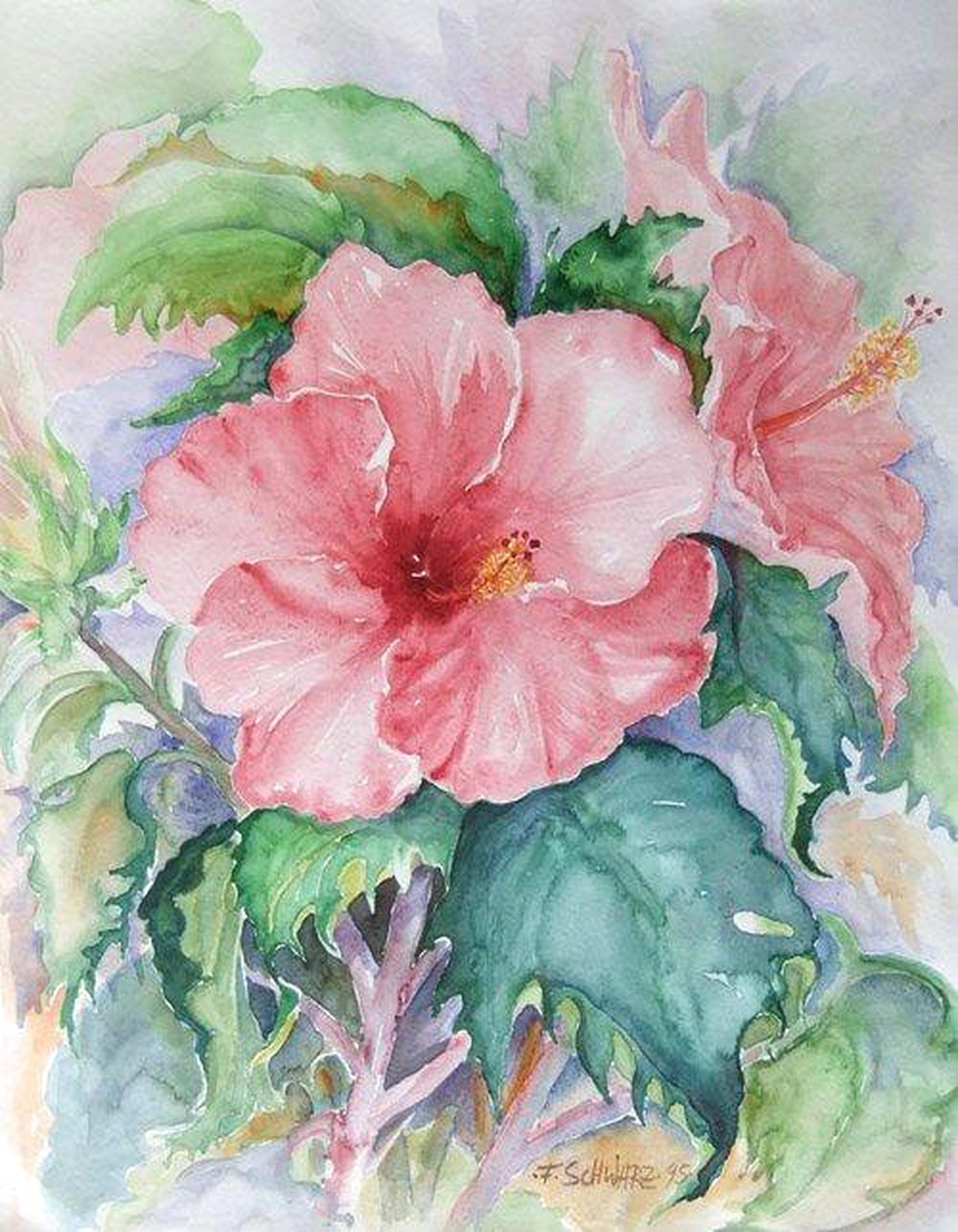 Künstler - Malerei - "Hibiskus" . Aquarell . 52 x 68 cm
