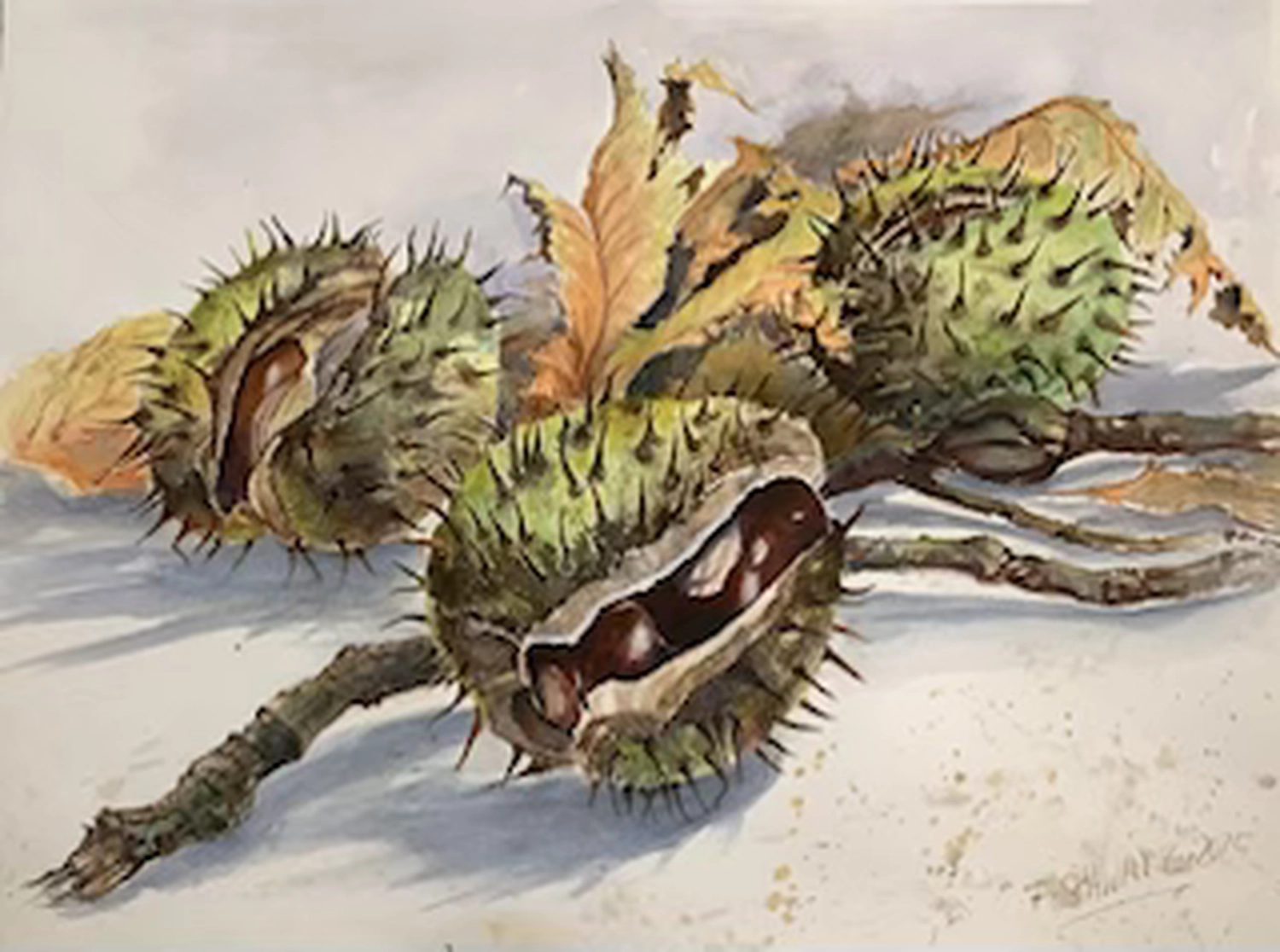 Künstler - Malerei - Öl & Acrylarbeiten