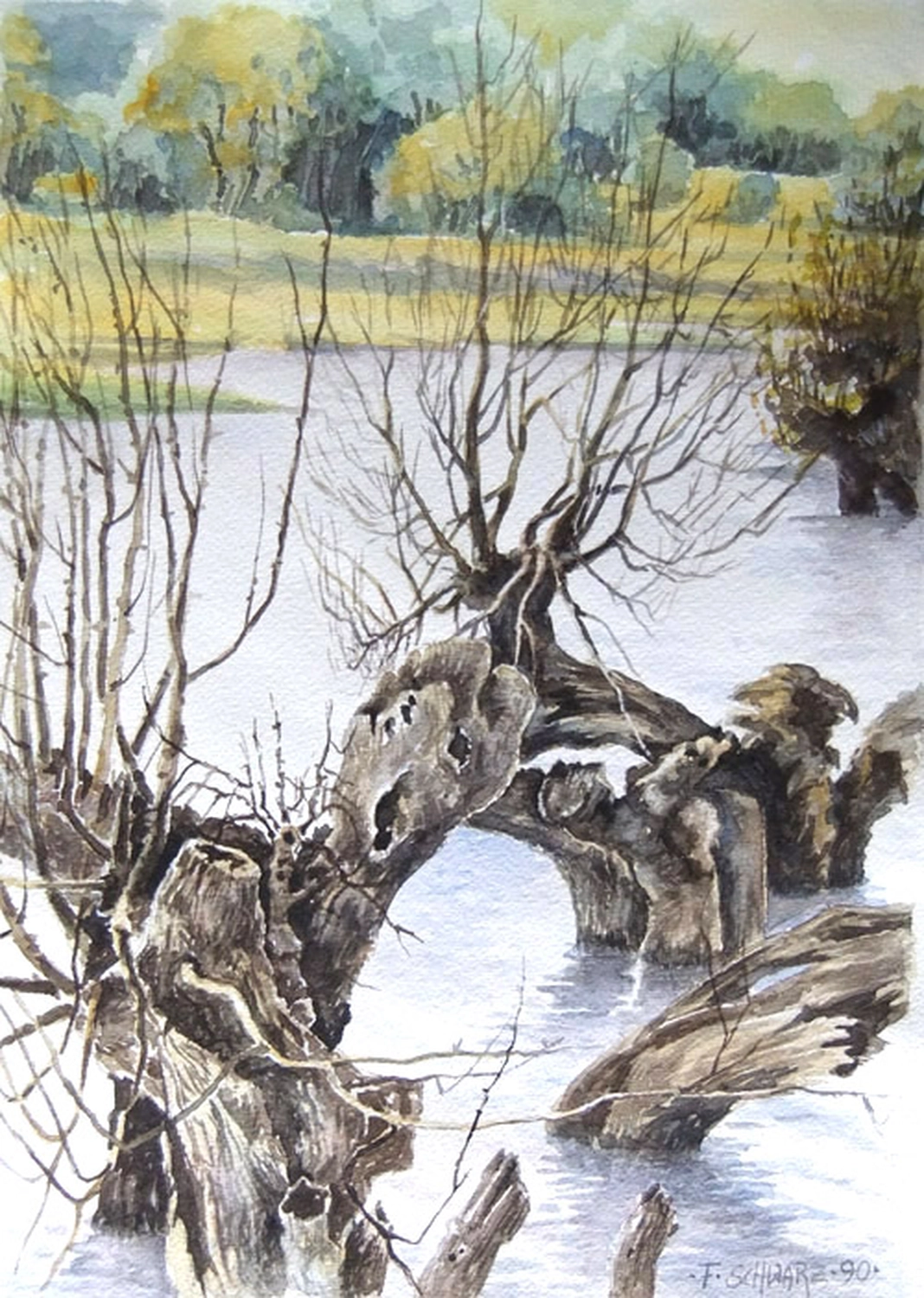 Künstler - Malerei - "Rheinaue in Walsum" . Aquarell . 30 x 42 cm